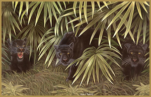 Three Black Leopards